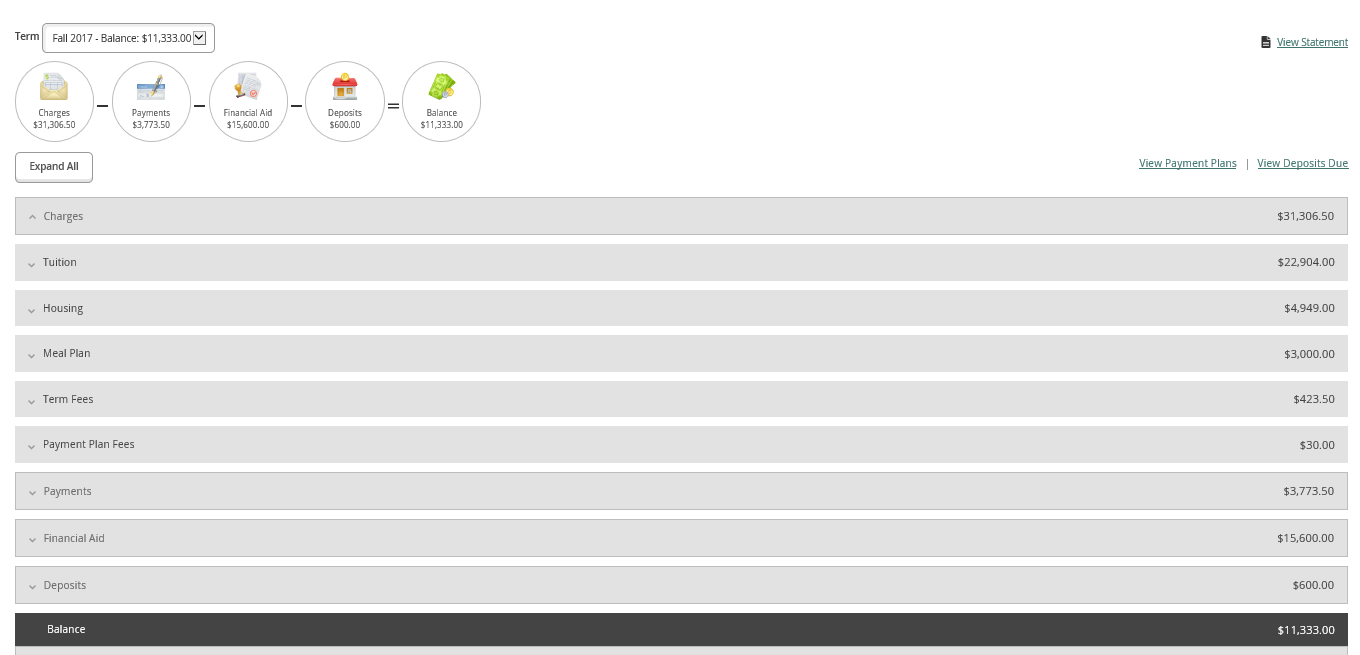 An itemized list of charges on the account activity tab An itemized list of charges on the account activity tab